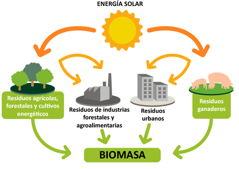 biomasa ciclo